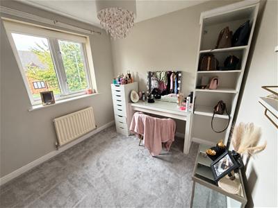 Picture 13